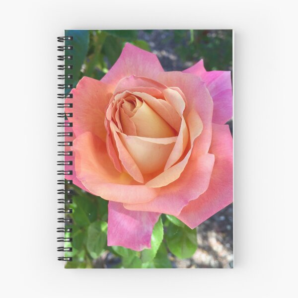 Item preview, Sherbet Rose designed and sold by Erica Robbin.