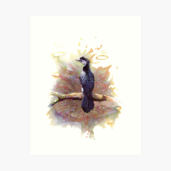 Item preview, Pied Cormorant designed and sold by Brad Gresham.
