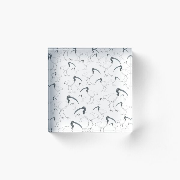 Ian pattern again Acrylic Block