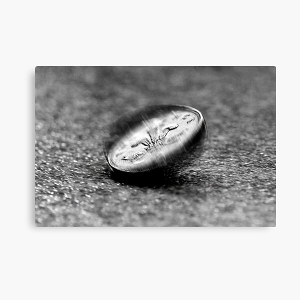The penny drops Canvas Print