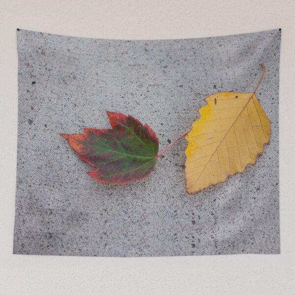 Item preview, Colorful Leaves Photography Print designed and sold by griffingphoto.