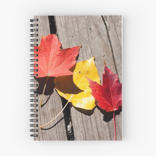 Item preview, Three Leaves Photography Print designed and sold by griffingphoto.