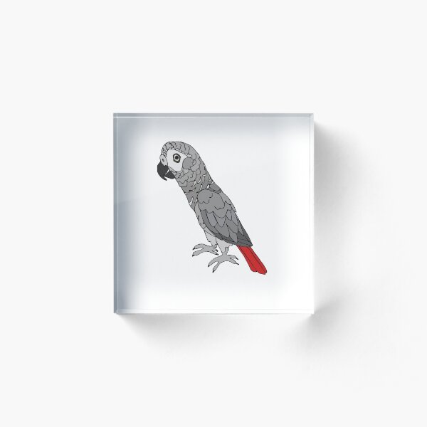 African Grey Parrot Acrylic Block