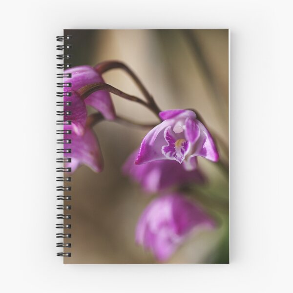 Item preview, Australia's Native Orchid Small Dendrobium designed and sold by Joy Watson - Natural Light Photography .