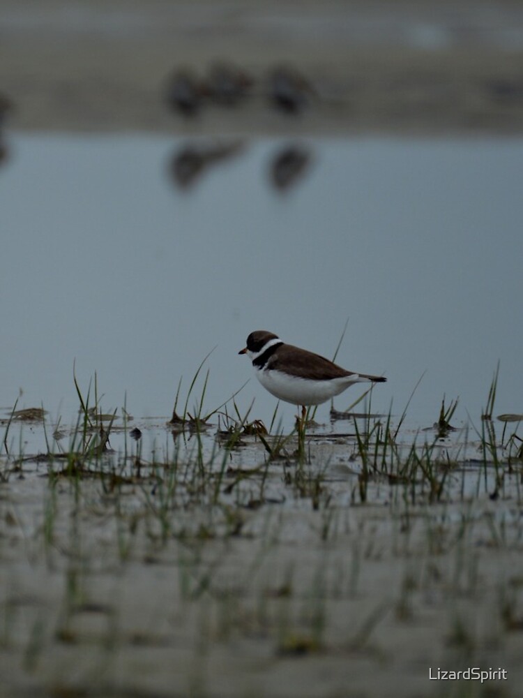 Thumbnail 4 of 4, iPhone Case, Common Ringed Plover designed and sold by LizardSpirit.
