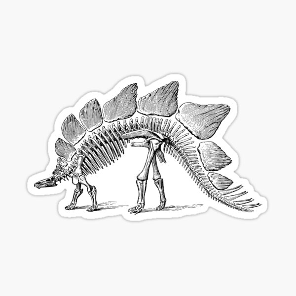 Item preview, Dinosaur Collection - Stegosaurus Skeleton designed and sold by Artificialx.