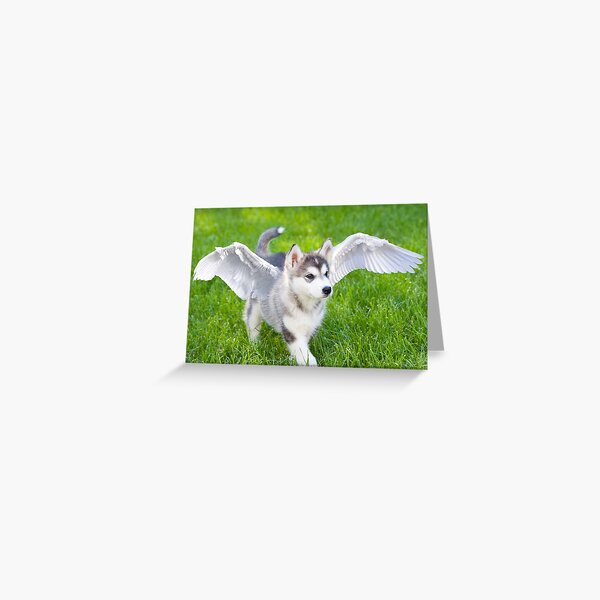 Angel puppy Greeting Card