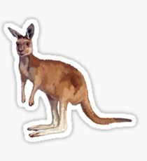 Känguru Sticker