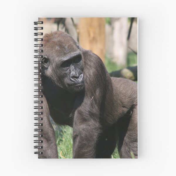 Artikelvorschau, Gorilla entworfen und verkauft von Tim Emmerson.