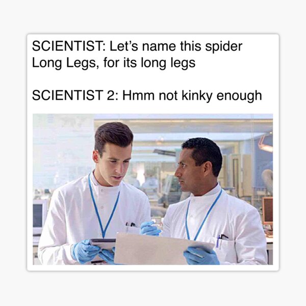 Memes - Daddy long legs (yourfrontpage / tw)