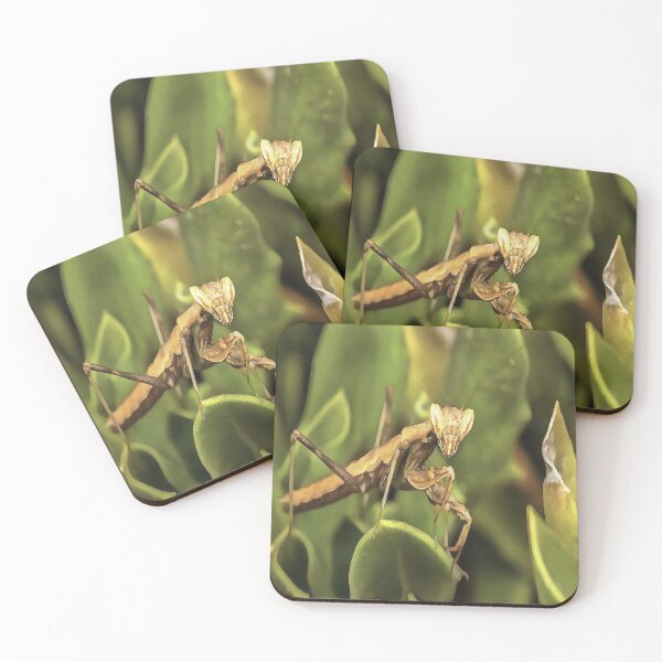 Item preview, Praying Mantis Portrait Insect Art  designed and sold by taiche.