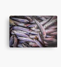 Sardines Metal Print