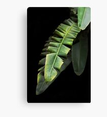 Banana Leaf Leinwanddruck