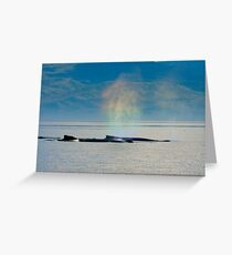 Whalebows Greeting Card
