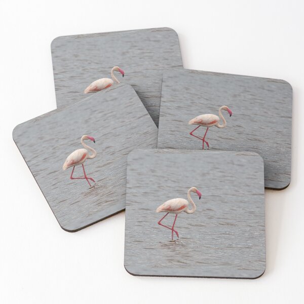 Item preview, Greater Flamingo (Phoenicopterus roseus) designed and sold by Yair Karelic.
