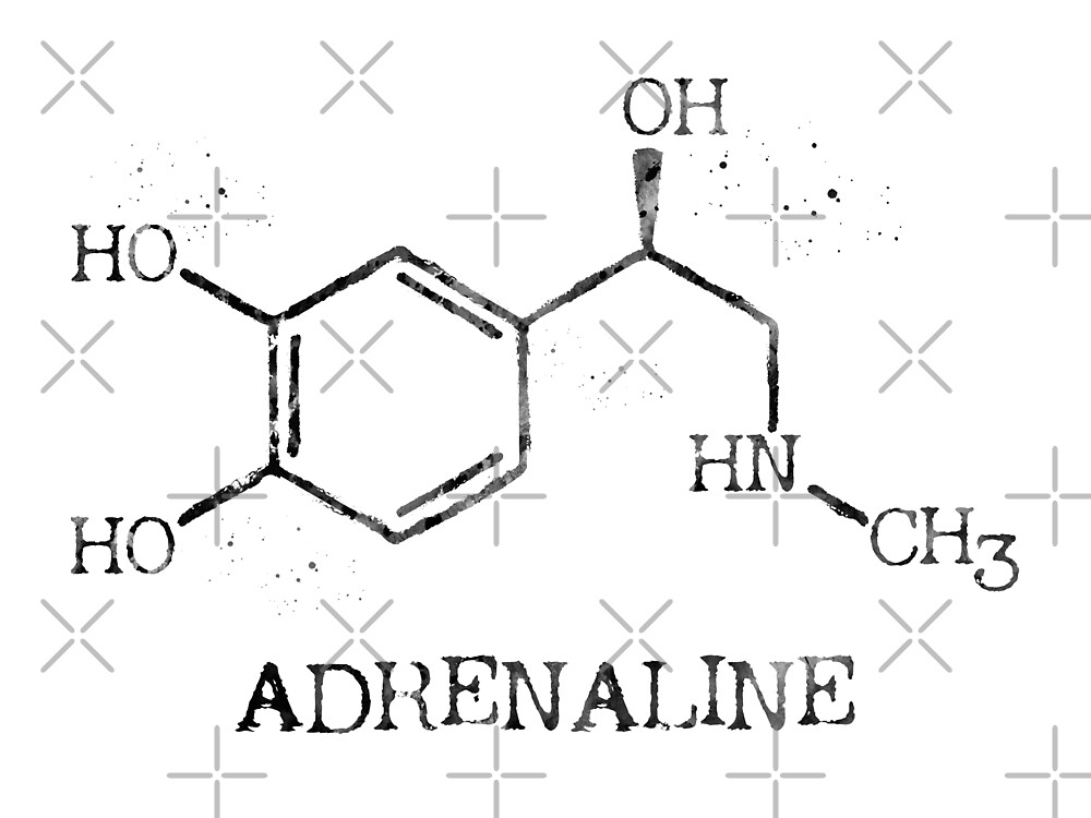 Adrenalin Inadına Sikiş