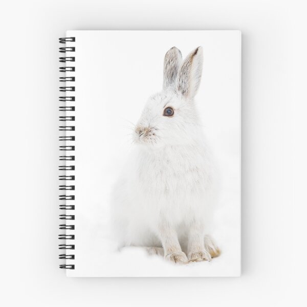 Item preview, Snowshoe Hare designed and sold by James Cumming.