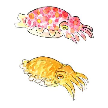Artwork thumbnail, Cuttle Buddies by Nikita Horridge