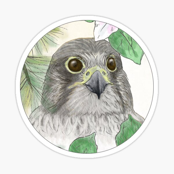 Gyrfalcon Sticker