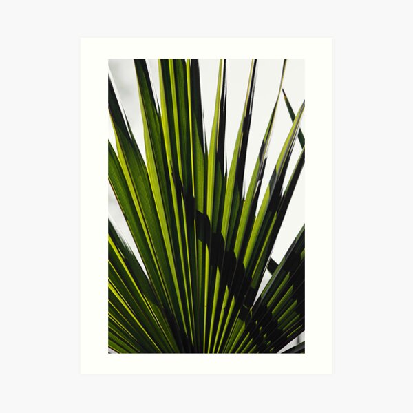 Green Blades Art Print