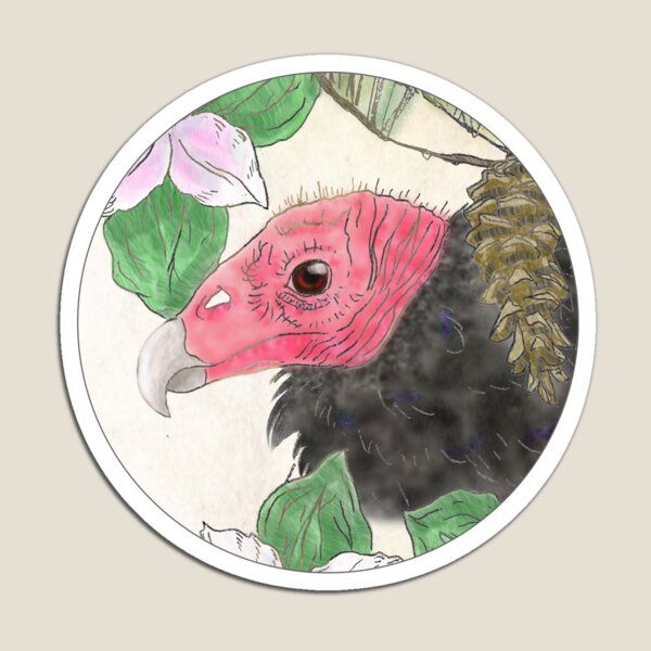 Turkey Vulture Magnet