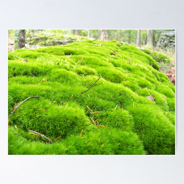 Item preview, Mossy Carpet designed and sold by Dandelion Dilluvio.