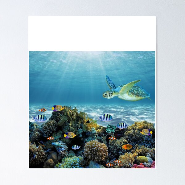 Item preview, Aquatic Coral Reef Background designed and sold by AnimalCreations.
