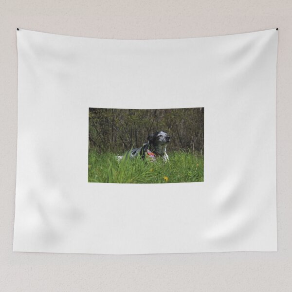 Item preview, Contentment designed and sold by Melissa Glabay.