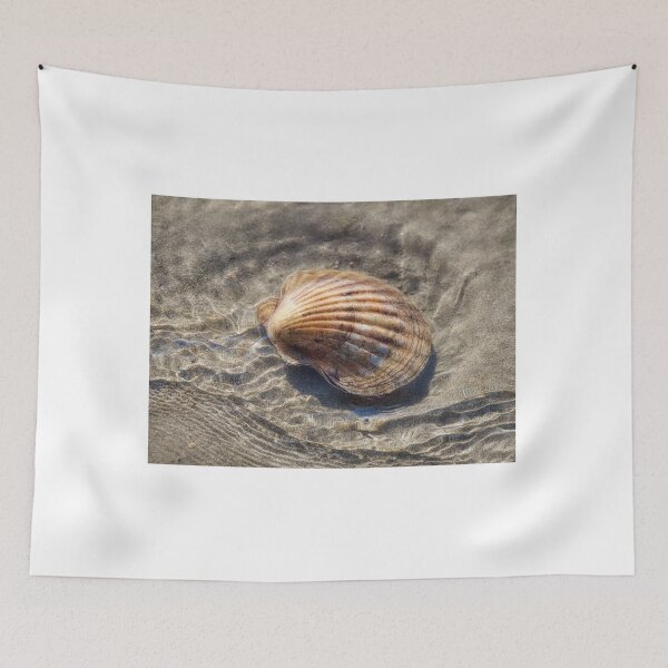 Item preview, Scallop In A Tidepool  designed and sold by Dorset Girl.