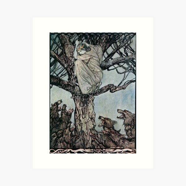 The Wooing of Becfola - Irish Fairy Tales - Arthur Rackham Art Print