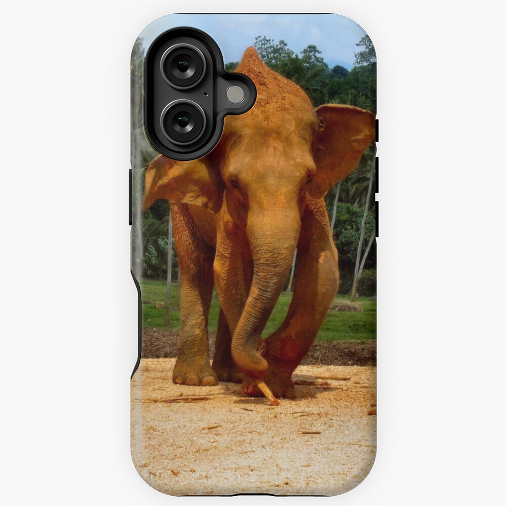 Item preview, iPhone Magsafe Tough Case designed and sold by ronsaunders47.