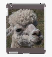 A White Alpaca iPad Case/Skin