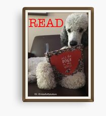 Reading Poodle Canvas Print