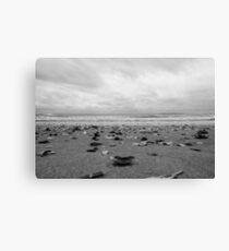 Abstract nature photography of ocean beachside seashells Canvas Print