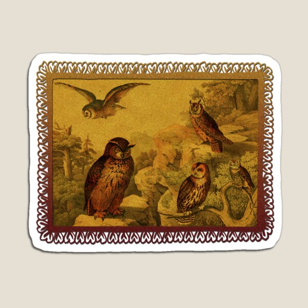 Owl Love Magnet