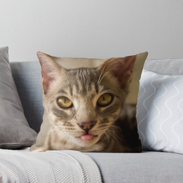 Item preview, Savannah Cat designed and sold by Zagfros.