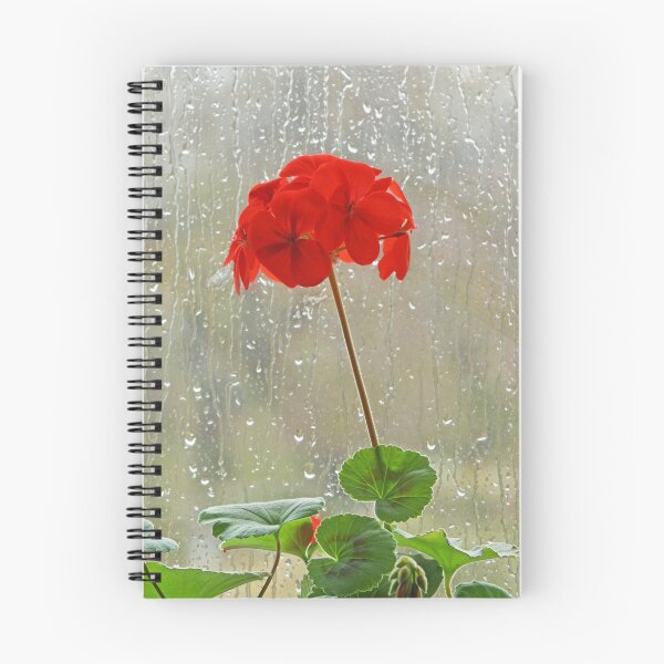 Item preview, Red Pelargonium in a Rainy Window designed and sold by MikeSquires.