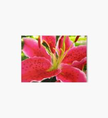 Star Gazer Lily Art Board