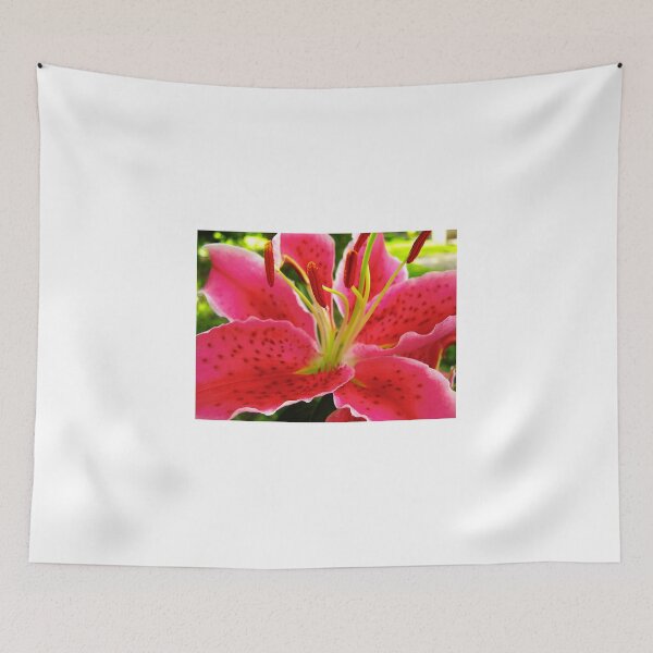 Item preview, Star Gazer Lily designed and sold by Melissa Glabay.