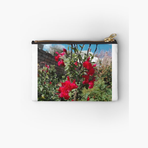 Item preview, Salvia designed and sold by MazzyJay.