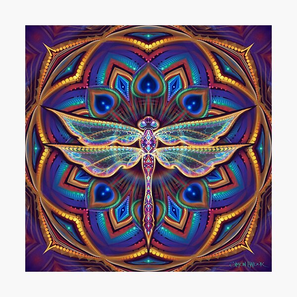 Mantrafly Photographic Print