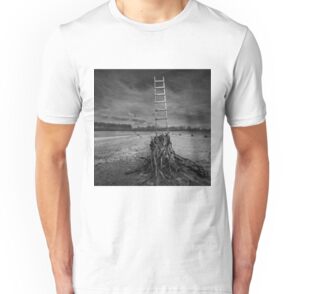 jacob's ladder t shirt