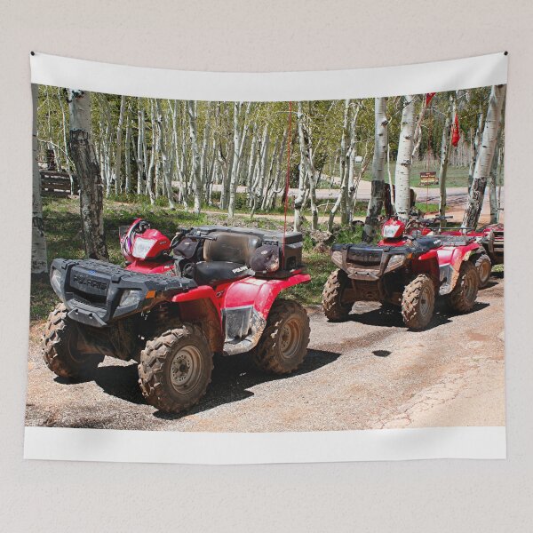Item preview, All terrain vehicles ready to go designed and sold by FranWest.