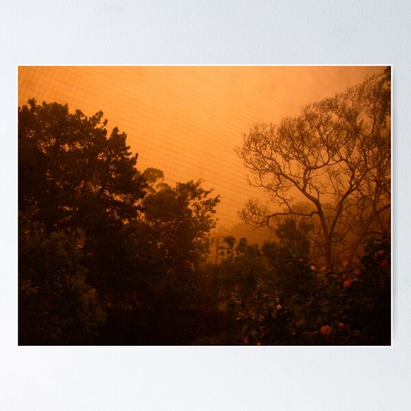 Item preview, orange morning of the apocalypse from the back window designed and sold by Juilee  Pryor.