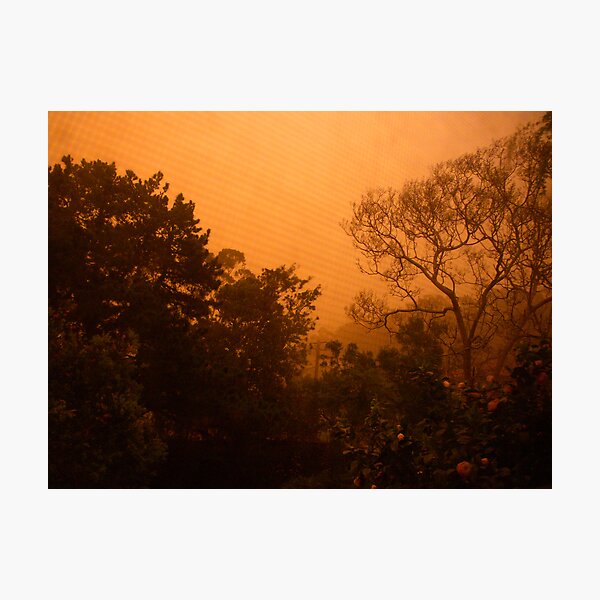 Item preview, orange morning of the apocalypse from the back window designed and sold by Juilee  Pryor.