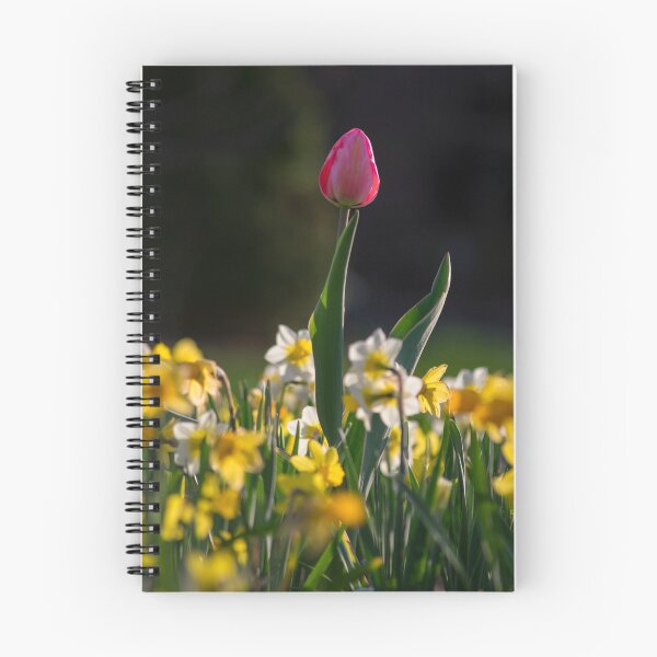 Artikelvorschau, Stolze Tulpe entworfen und verkauft von Kevgiambertone.