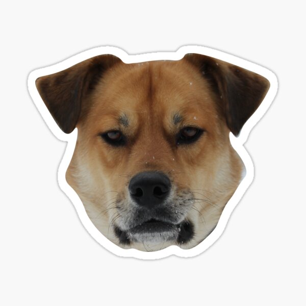 Item preview, Guard Dog designed and sold by Kathryn Miller.