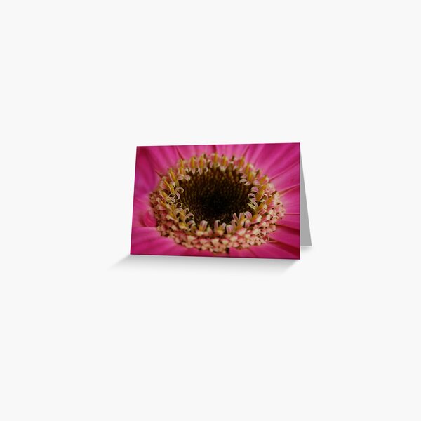 Untitled Greeting Card