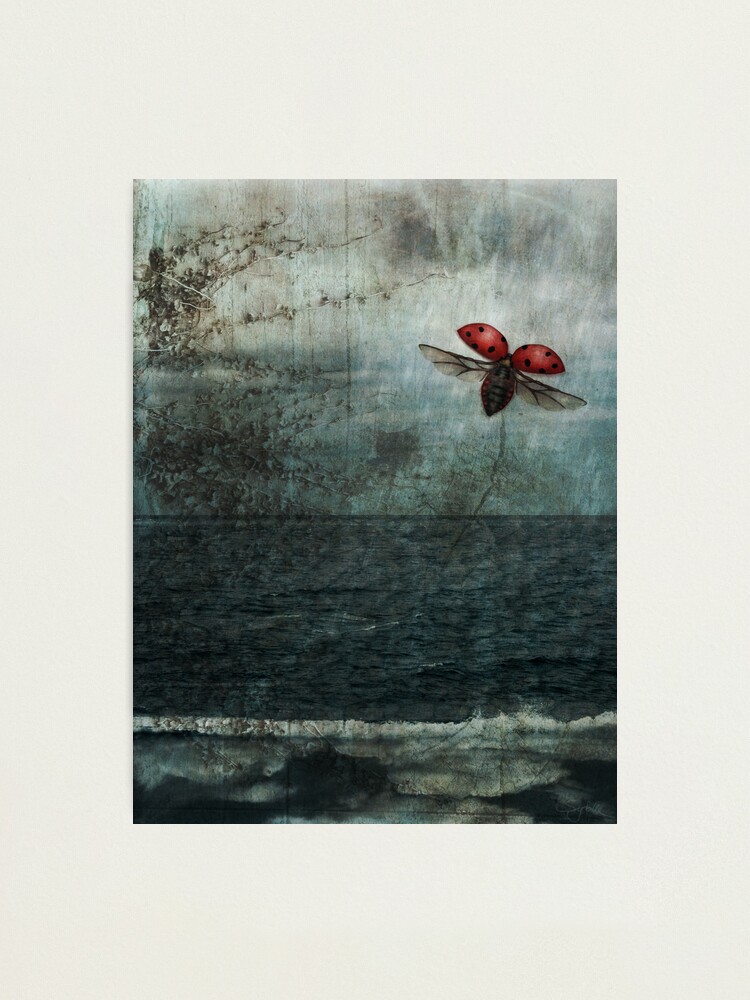 Alternate view of Over the Sea and Far Away Photographic Print
