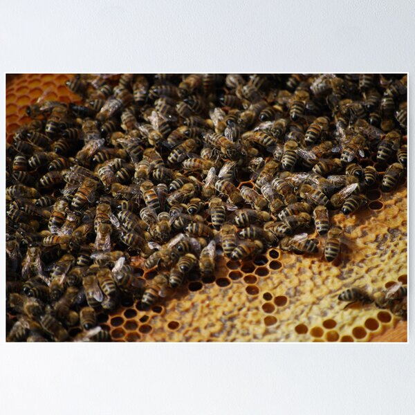 Item preview, Honey Mill designed and sold by Rowan  Lewgalon.